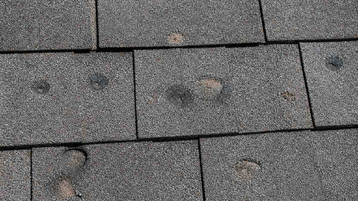 Close-up of asphalt roof shingles showing visible hail impact dents, bruising, and granule loss in bright daylight, with damaged areas clearly visible against undamaged sections