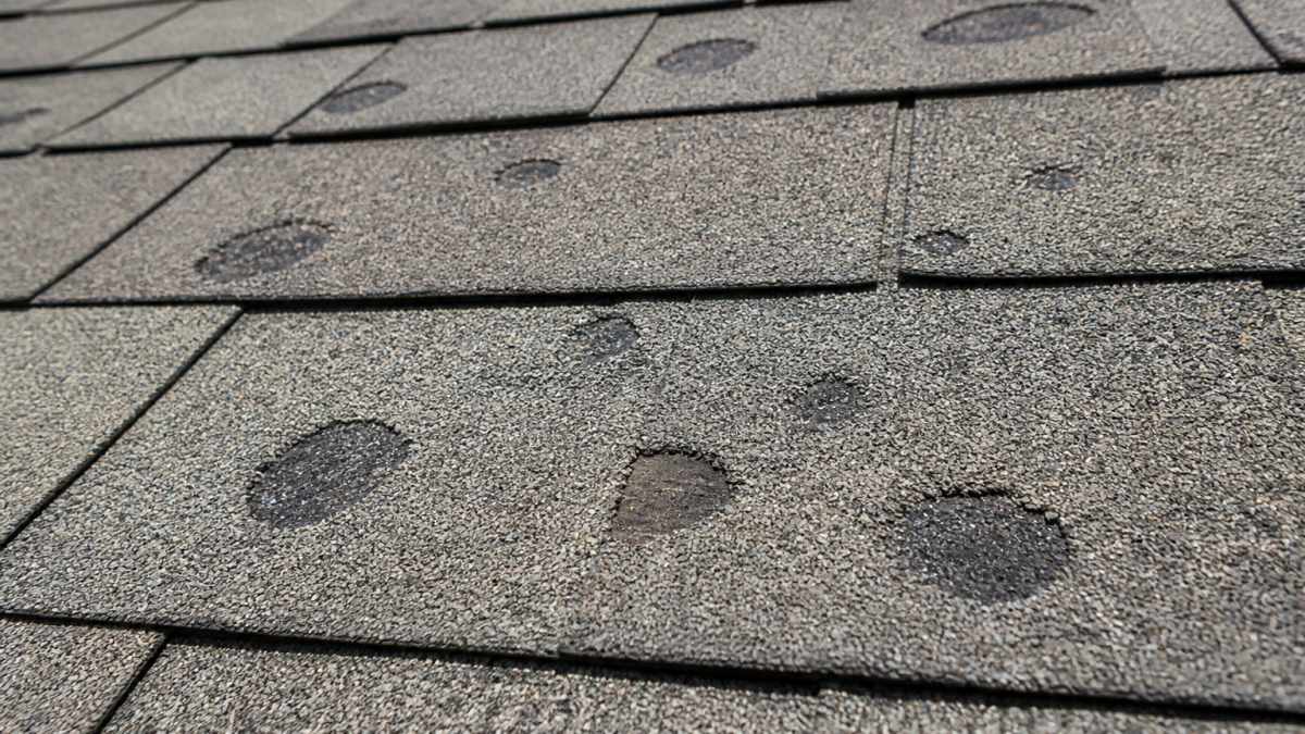 Close-up of an asphalt shingle roof surface showing scattered dark impact marks, exposed granule-free patches, and a few bruised shingles under bright daylight, viewed at a low angle